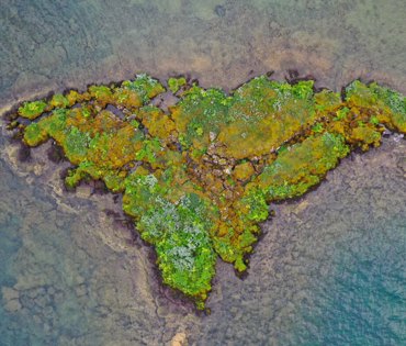 Islet in Hallvik which is in the norheastern part of lake Þingvallavatn.